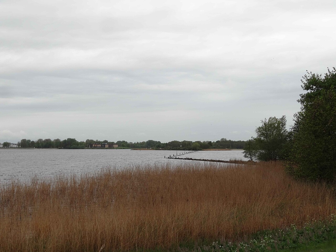 Almere Haven aan het water