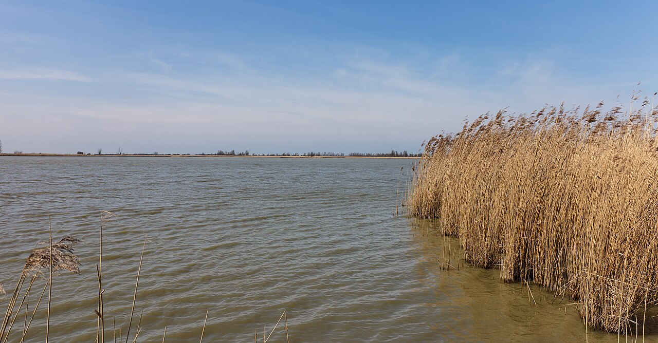 Oostvaardersplassen bij Almere Buiten