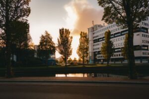 Tien bussen vernield bij busremise in Haven: geen hinder voor reizigers