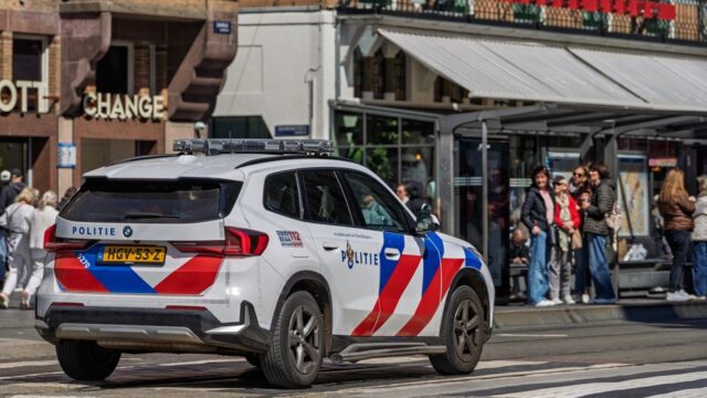 Achttien dode konijnen gevonden in Bos der Onverzettelijken Achttien dode konijnen gevonden in Bos der Onverzettelijken