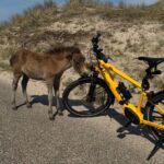 Fietser gewond na aanrijding met stadsbus