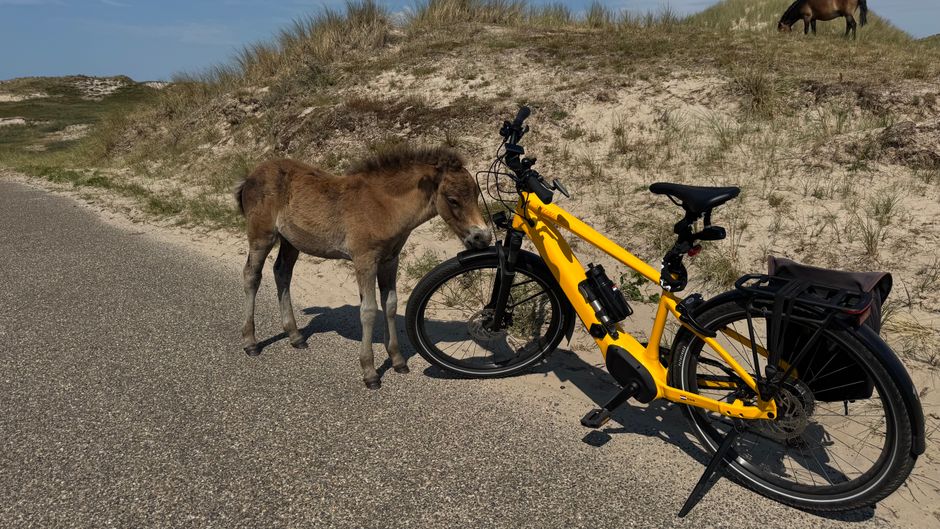 Fietser gewond na aanrijding met stadsbus